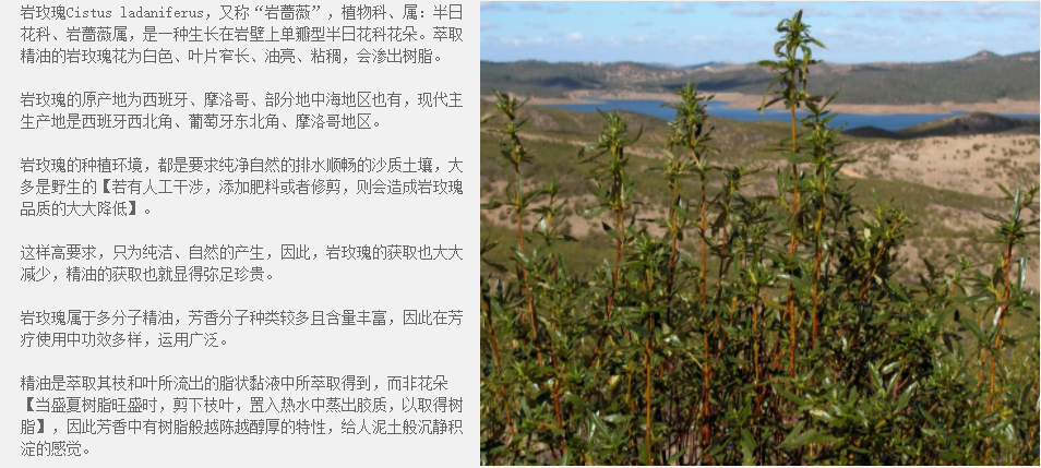 7432dfc3fc6c167346af28abfde4575c.png