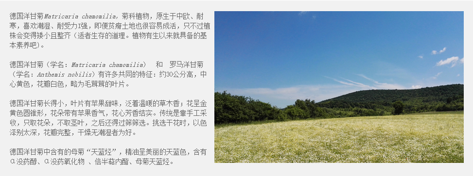 93056eaad36d6aa0de6bbd4b6b2451b8.png