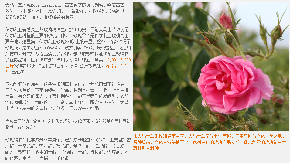 b4ce67e2070a59783f80fe64a7099968.png