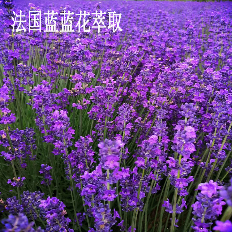 un_name168171056091.jpeg