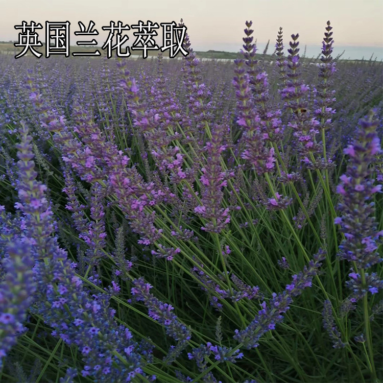 un_name168171058024.jpeg